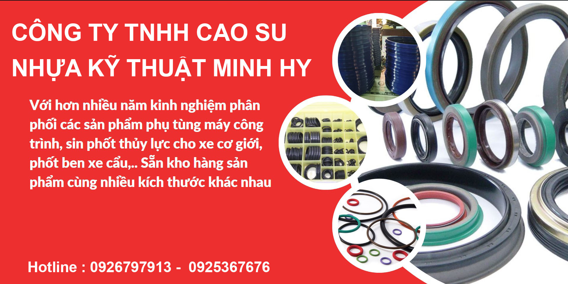 Công Ty TNHH Cao Su Nhựa Kỹ Thuật Minh Hy